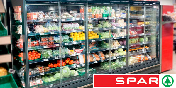 Spar Erslev